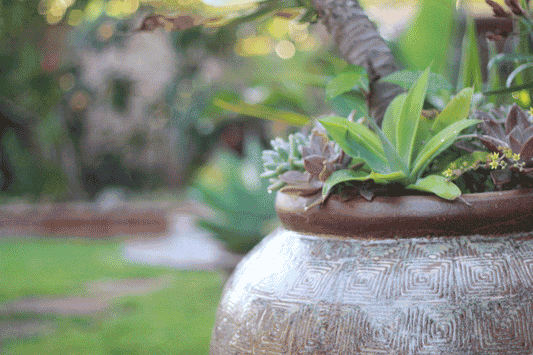 Design That Moves: How Merchandising with Pottery Creates Retail Flow and Sales