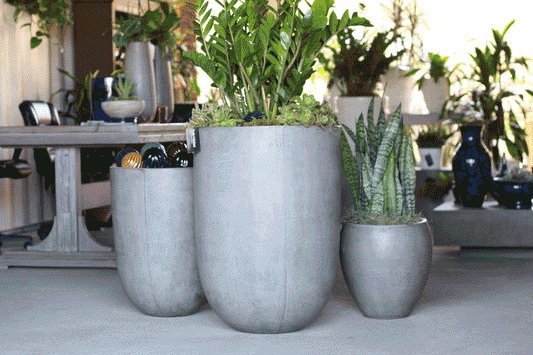 From Box Store to Boutique: How Independent Garden Centers Win with Direct Import Pottery