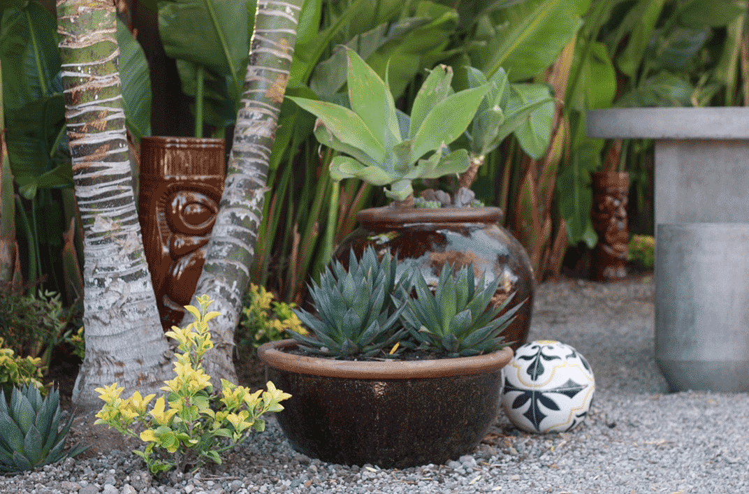 The Power of Presentation: How Content Marketing Boosts Pottery Sales for Garden Centers