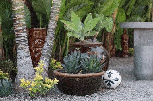 The Power of Presentation: How Content Marketing Boosts Pottery Sales for Garden Centers