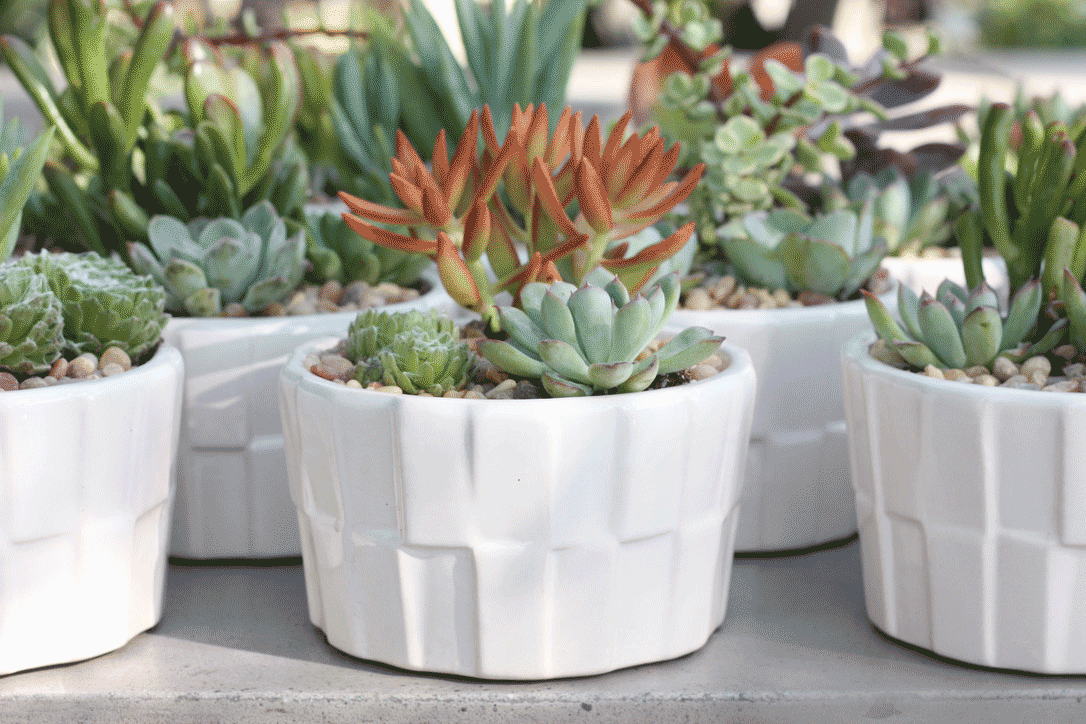 Freight Smarts: How to Maximize Value When Importing Pottery by Container