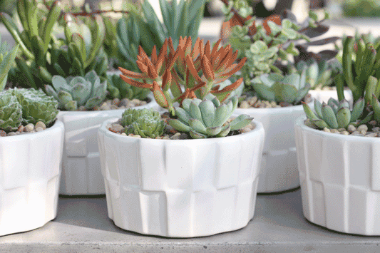 Freight Smarts: How to Maximize Value When Importing Pottery by Container