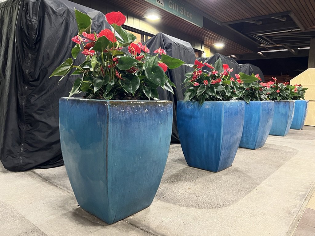 Morgan- Stoneware Planter