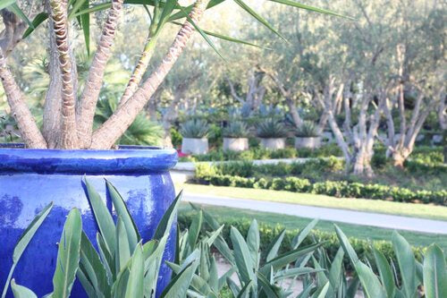 Big Giant- Stoneware Planter