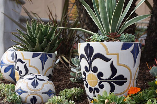 Hacienda- Spanish Colonial Planter