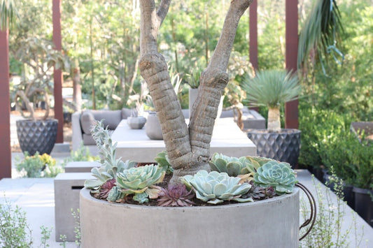 Jordan- Ficostone Modern Planter