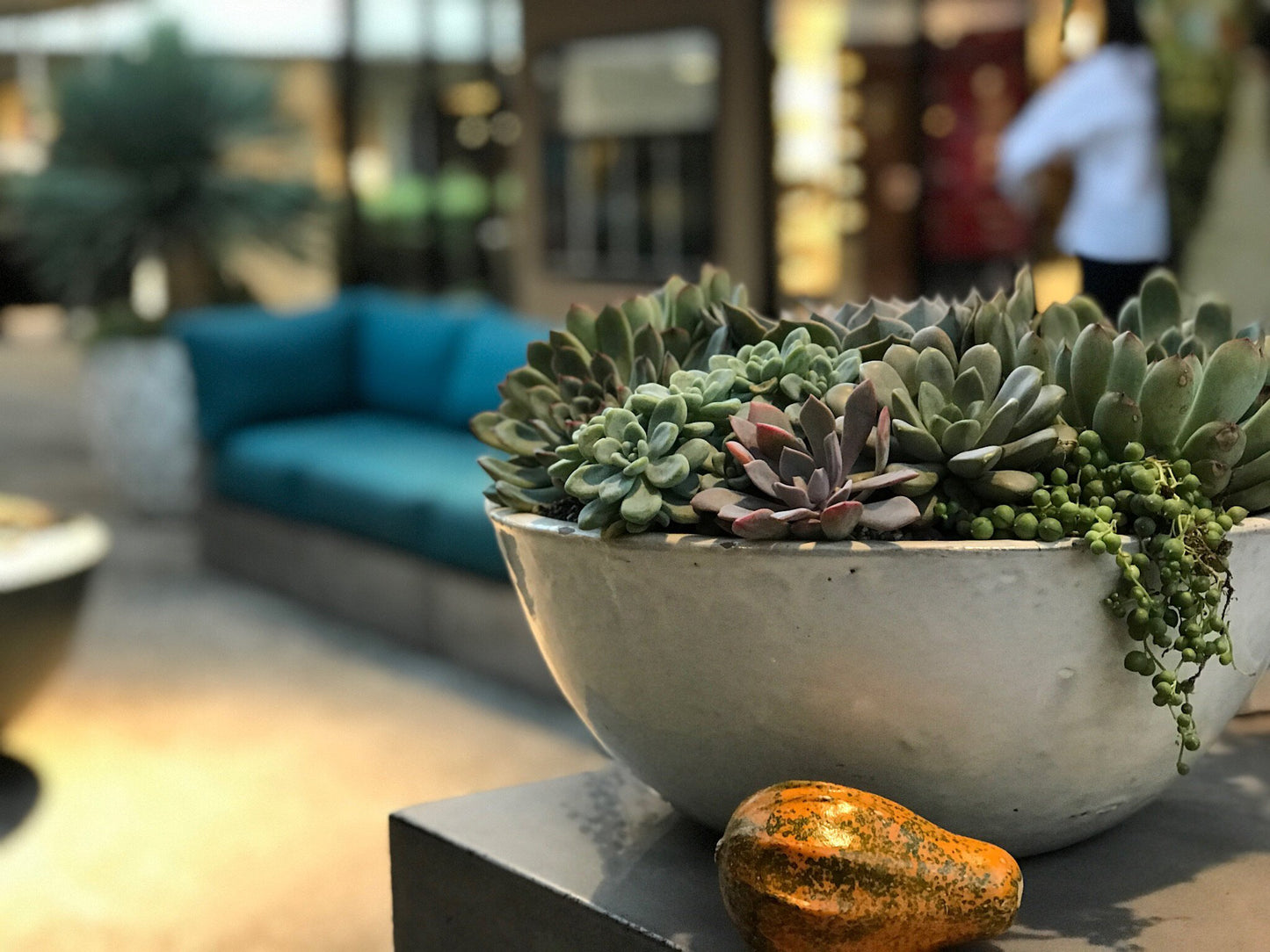Low Bowls- Stoneware Planter