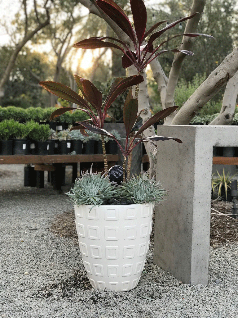 Motif- Modern Glazed Planter