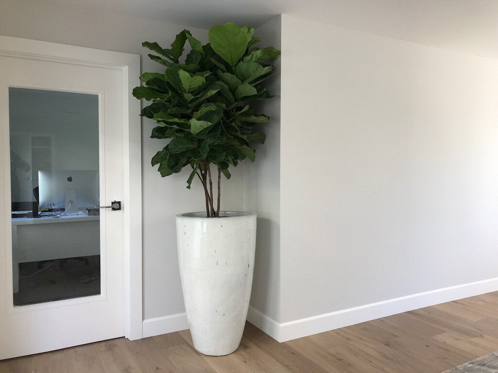 Tall Taper- Stoneware Planter