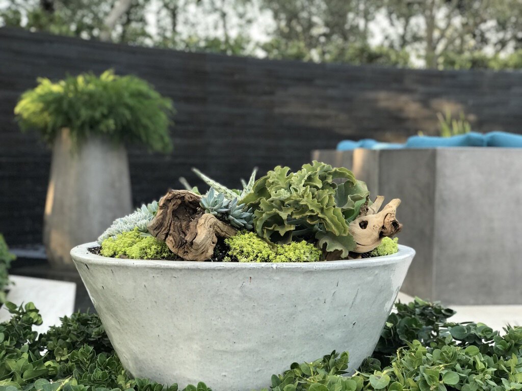 Tall Flare- Stoneware Planter
