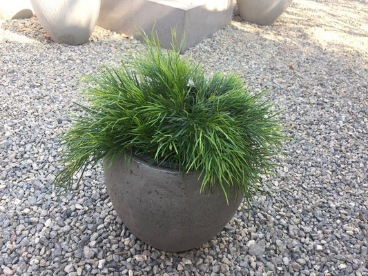 Harper- Ficostone Modern Planter