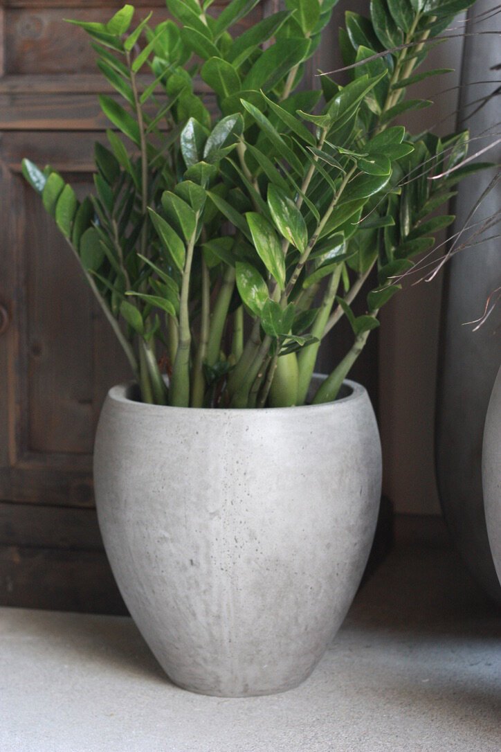 Harper- Ficostone Modern Planter