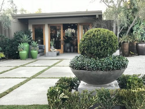 Kelly- Ficostone Planter, Bowl