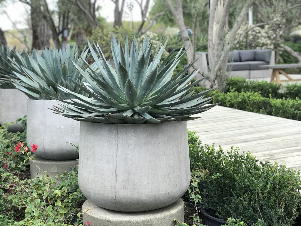Benton Squat Ficostone planter detail succulent planting, wholesale pottery Habitudes