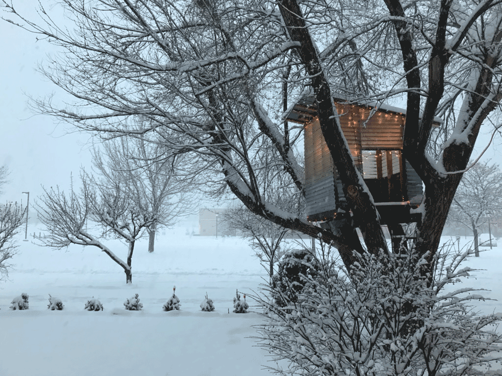 Why Story-First Selling Is the Future of Garden Retail